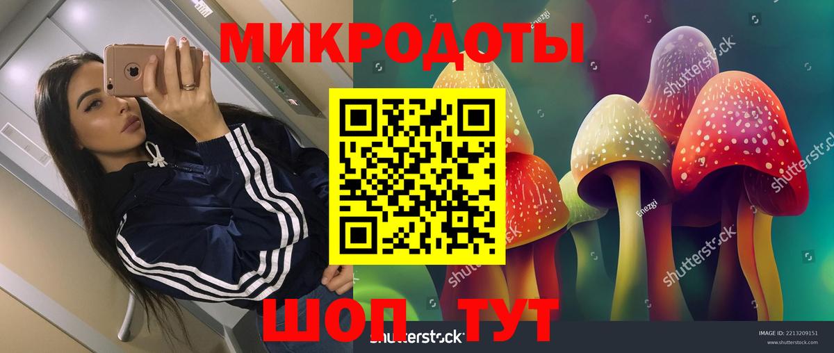 Псилоцибиновые грибы GOLDEN TEACHER  Вход с VPN  Десногорск 
